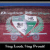 Dropkick Murphys - Sing Loud, Sing Proud! (Vinyl LP)