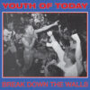 Youth Of Today - Break Down The Walls (Color Vinyl LP)