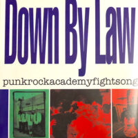 Down By Law – Punkrockacademyfightsong (Purple Color Vinyl LP)