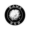 Bamn / Black Star Rising - Split (Vinyl LP)