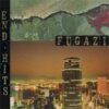 Fugazi - End Hits (Vinyl LP)