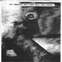 Gay Pride – V/A (Vinyl Single)(Pansy Division,Chumbawamba,Doom)