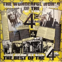 4 – Skins – The Wonderful World Of The 4 Skins (The Best Of The 4 Skins) (Color Vinyl LP)