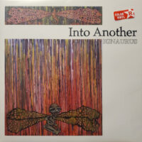 Into Another – Ignaurus (Orange Color Vinyl LP)
