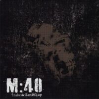 M: 40 – Industrilandskap (Clear Vinyl Single)