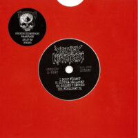 Kronisk Misantropi / Waarface – Split (Color Vinyl Single)