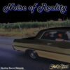Noise Of Reality - F**k You! (Vinyl Single)