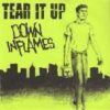Tear It Up / Down In Flames - Split (Vinyl Single)