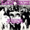 Adolescents ‎– Welcome To Reality (Color 10")