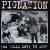 Pignation - You Would Hate To Know (Vinyl 12")