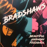 Bradshaws – Beautiful Harmony Feedback (Vinyl LP)