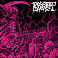 Possible Damage – S/T (Purple Color Vinyl LP)