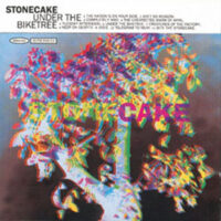 Stonecake – Under The Biketree (Vinyl LP)