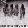 DYS - Brotherhood (Color Vinyl LP)