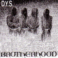 DYS – Brotherhood (Vinyl LP)