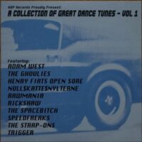 A Collection Of Great Dance Tunes – Vol 1 – V/A (Vinyl Single)