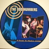 Odd Numbers, The ‎– A Guide To Modern Living (Picture Vinyl LP)