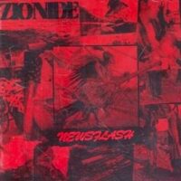 Zionide ‎– Newsflash (CD)