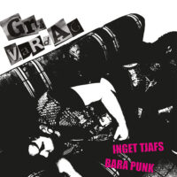 Grå Vardag – Inget Tjafs Bara Punk (Vinyl LP)