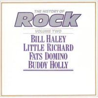 Bill Haley, Little Richard, Fats Domino, Buddy Holly – History Of Rock (2 x Vinyl LP)
