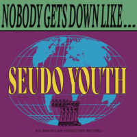 Seudo Youth – Nobody Gets Down Like Seudo Youth (Vinyl LP)