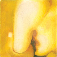 Smashing Pumpkins – Pisces Iscariot (2 x Vinyl LP)