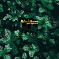 Brandtson – Death & Taxes (Color Vinyl LP)
