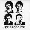 Buzzcocks ‎– Secret Publics 'Best In Good Food' (2 x Color Vinyl LP)