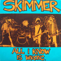 Skimmer – All I Know Is Wrong (Vinyl Single)