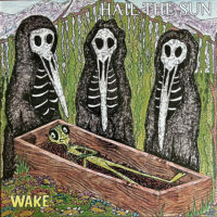 Hail The Sun – Wake (Color Vinyl LP)