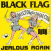 Black Flag - Jealous Again (12" Vinyl)