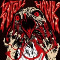 Bitch Hawk – Joy (Vinyl LP)