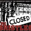 Bristles, The - Reflections Of The Bourgeois Society (Vinyl LP)