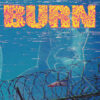 Burn - ...From The Ashes (Color Vinyl Single)
