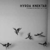 Hyrda Knektar - Vi Kommer Dö Men Först Ska Vi Leva (Color Vinyl 10")