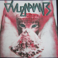 Vulgarians – Sexdöner (Vinyl Single)
