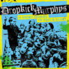 Dropkick Murphys - 11 Short Stories Of Pain & Glory (Vinyl LP)