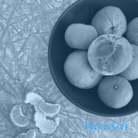 Cell Rot – Parasite (Vinyl LP)