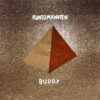 Runtom Knuten - Buddy (Vinyl LP)