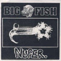 Big Fish – Nuper. (Color Vinyl Single)