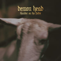 Demon Head – Thunder On The Fields (Color Vinyl LP)