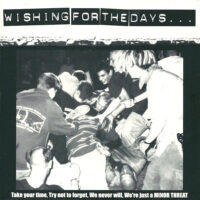 Wishing For The Days… – V/A (Color Vinyl Single)(Section 8,Outlast,Last Secutity)