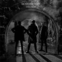 En Svensk Tiger – Gbg Noir (Vinyl LP)