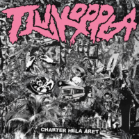 Tjuvkoppla – Charter Hela Året (Pink Color Vinyl LP)