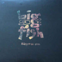 Big Fish – Sånger Ur Sten (Vinyl LP)