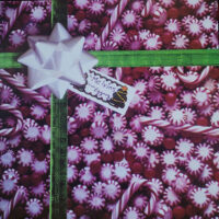 Melvins – Eggnog  (Vinyl LP)