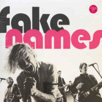 Fake Names – S/T (Vinyl LP)